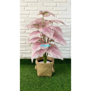 Pohon Artificial Tanaman Hias Calladium Pink Full X18 Semilatex Cover Pot Purun Handle Dekorasi Cafe Aesthetic