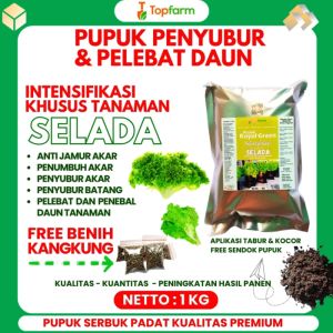 Pupuk Penyubur Daun Selada / Pupuk Untuk Tanaman Selada / Pupuk Penyubur Daun Selada / Pupuk Daun Untuk Tanaman Selada / Pupuk Selada