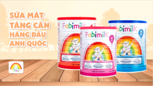 [CHÍNH HÃNG] Sữa FabiMilk 2 Hỗ Trợ Phát Triển Trí Não Chiều Cao Cho Trẻ Xuất Xứ Hà Lan Combo 2 Lon