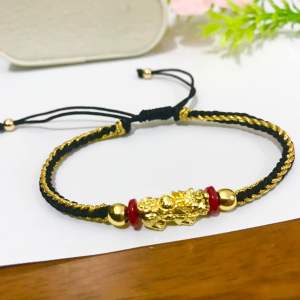 New Lucky charm PiYao Eight-strand Braided Bracelet