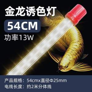 Arowana T8 RGB Tanning  LED Light Special For Arowana MGBB Golden Head 24k Arowana