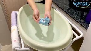 ICHI ม้าลอยน้ำวัดอุณหภูมิ