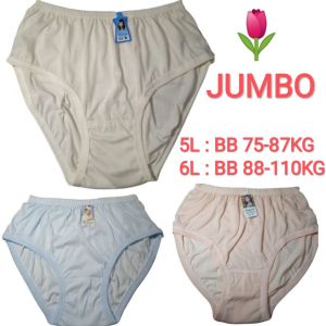 ( Paket Isi 2 Pcs dan 3 Pcs ) Celana Dalam Wanita Super Jumbo Murah Katun 5L 6L besar Halus Polos Warna Krem biru Pink Oranye Ungu Hijau Karet Pinggang Lembut bisa untuk Wanita Ibu Hamil cd cangcut cewek cewe extra jumbo setara 7L 7XL 8L 8XL bisa Lusinan