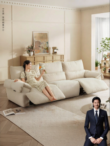Electric Anti-Claw Fabric Sofa