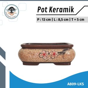 Pot Keramik Unik Motif Lukis dan Polos