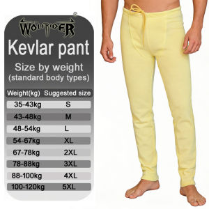Motorcycle Kevlar Aramid Fiber Pants Protective Riding Gear Motorbike Apparel for Touring Adventure