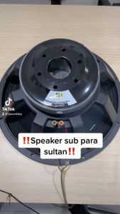 PREMIUM - Speaker JIC LS 18100 - 18 INCH