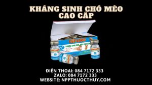 Cefadog lọ 5ml chữa đường ruột chó mèo thú cưng