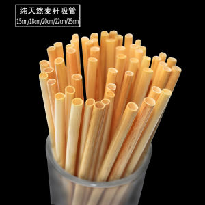 Biodegradable Plant Straw Natural Wheat Stalk Childrens Beverage Straw Eco-friendly 15cm Long Stainless Steel Straw Cup