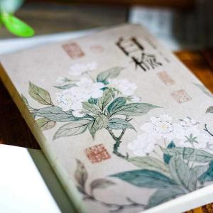 Sổ Tay Trắng Trang Trắng Chủ Đề Cây Phong Cách Nhật Bản Sổ Tay Du Lịch Sổ Tay Văn Phòng Phẩm Sổ Tay Trang Trắng Không Bao Bì