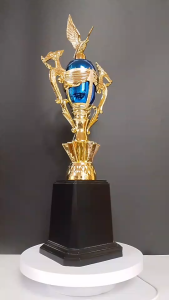 ถ้วยรางวัลและรางวัลสำหรับการแข่งขันต่างๆ (ถ้วยหงส์เล็ก)