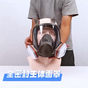 Gas Mask Respirator Full Face For Chemical Painting Mask Industrial Protection Dust Mask With Filter SevenStars