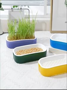Paket Rumput Kucing Cat Grass Wheatgrass Rumput Benih Gandum Microgreen Wheat Grass