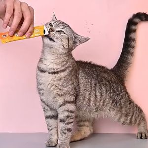 PETSEE Makanan Kucing Cat Snack Kucing Cat Treat Stick Wet Food Cat Food 猫条 Makanan Anak Kucing Jajan Makan 100pcs