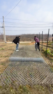 Heavy Duty Cyclone Wire Fence Roll Hot Dipped Galvanized Chain Link Mesh Sport Field Garden Bakod
