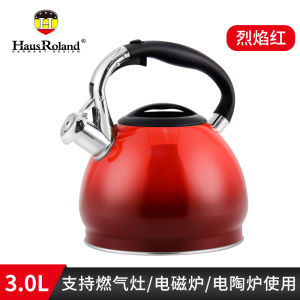 HausRoland 304 Stainless Steel Gas Stove Water Boiler Large Capacity Mirror Polish European Style Cooking Utensil for Home Use