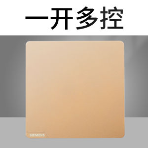 Siemens Switch Socket Panel Frameless Large Board Switch Haocai Series Golden Two and Three Pins with Switch USB Plug