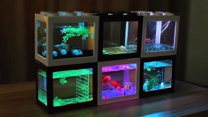 Mini Aquarium Block Fish Tank Suitable For Fighting Fish And Peacock Fish Multi Color Stackable