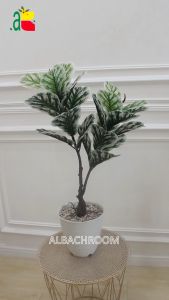 Ketapang Akar MB 2 Cabang Artificial: Tanaman Palsu Untuk Dekorasi Ruangan