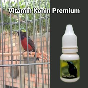 Vitamin Burung Konin Kolibri Ninja Premium Gacor Plong Nembak Full Durasi