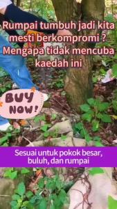 The roots rotted in 1 day！ racun pokok besar paling kuat cepat mati tree killer 500g Formula pekat racun pokok kayu besar Effective  control Removing big trees and bamboo Long-lasting effect racun pokok buluh racun pokok kelapa racun pokok sawit