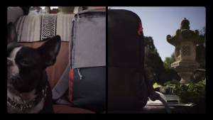 Oneplus Backpack - Adventure/Urban Traveler