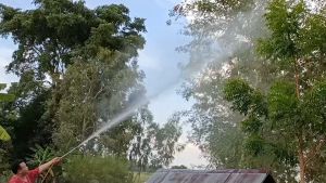 ด้ามพ่นยา DENA รูปแบบ A7 พ่นยา ทุเรียน ลำไย หมุนด้ามจับ ปรับระดับใกล้ไกลได้ จับถนัดมือ น้ำหนักเบา ก้านพ่นยา DENA ของแท้ ความยาว 34.4 ซม