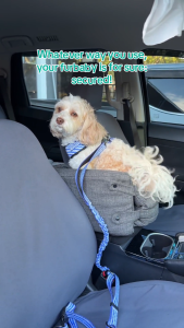 Animal Nature Dog Harness S M and L Simple Pet Leash and 6-in-1 Pet Leash with Reflective Webbing Adjustable Multi-functional