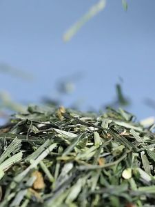 Cỏ khô đại mạch thảo dành cho thỏ bọ sóc bắc mỹ (cỏ cực kì xanh) - T3 PETS SHOP