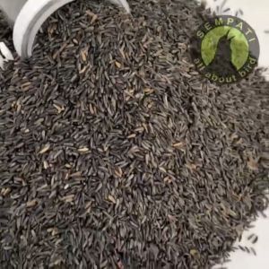 SEMPATI NIGER SEED 500GR CAMPURAN UNTUK PAKAN KENARI BLACKTHROAT RED SISKIN