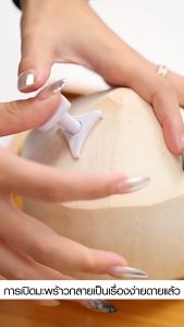 Marino Home ที่เจาะรูมะพร้าว อุปกรณ์เจาะรูมะพร้าว ขนาดมินิ แพ็ค 6 ชิ้น No.Y1345