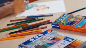 STAEDTLER Luna Coloured Pencils (48 Colours)
