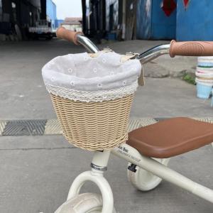 MOLIDA | Woven Retro Front Basket