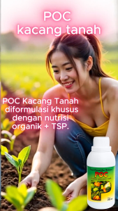 POC KACANG TANAH / PUPUK ORGANIK CAIR UNTUK KACANG TANAH AGAR PADAT DAN LEBAT / BOSTER KACANG TANAH