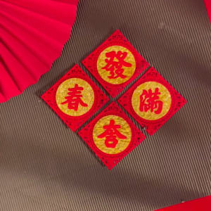 2025 Chinese Lunar New Year (CNY) Decorations Wall/Door Decoration