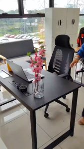 Desk Home Desk Computer Desk PC Laptop Desk Storage College Student Study Desk Modern Design Simple Style Metal Leg Study Desk