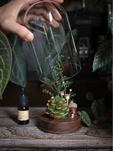 Indoor Desktop Diffuser Seed Creation Forest Pineapple Aromatherapy Glass Cover Plant Gift Box Walnut Material Cute Style