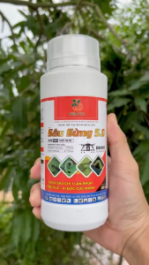 Thuốc Trừ Sâu BP.EMAZOAT 2.3EC Msp SÂU SỪNG 5.0 – Sạch Sâu Chỉ 1 Lần Phun Tiếp Xúc Vị Độc Cực Mạnh (Chai 400ml)