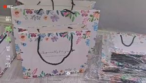 Túi Đựng Quà Hoa Văn Túi Giấy Túi Quà Tặng Đóng Gói Đựng Quần Áo Mỹ Phẩm