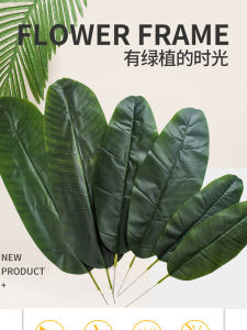 Artificial Banana Leaf Plastic Large Leaf Dance Props Banana Tree Decoration Green Plant Scattering Tail Leaf Simulation Ornament