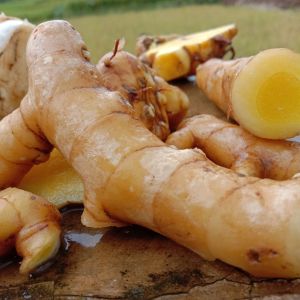 TEMU MANGGA/KUNYIT MANGGA /OBAT HERBAL UNTUK MENINGKATKAN NAFSU MAKAN SEGAR SIAP KIRIM 500 gr