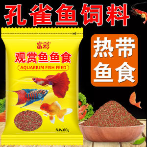 A Comprehensive Guide to Guppy Fish Feed & Small Fish Food