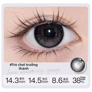MIUSOU | Mắt Kính Tiếp Xúc Đường Kính Lớn Màu Nâu Sương Mù