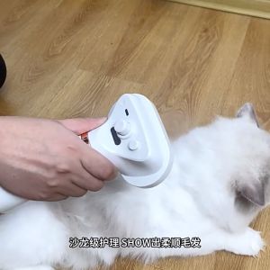 Lược chải lông kiêm máy sấy lông phun sương cho Chó mèo (mẫu mới) - Love Pets Shop