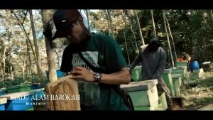 Madu Hitam Pahit Asli: Manfaat & Keunggulan