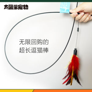 Super Long! Big Pineapple Pet Chinese Taiwan Amy Carol Super Long Brush Holder Cat Teaser Natural Feather Cat Toy