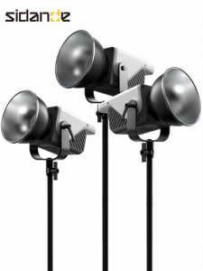 Sidande | App Adjustable Bicolor Temperature Professional Lighting Lamp