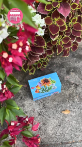 Set Đồ Chơi Lắp Ráp 12 Hộp Hoa Mini Trang Trí Đẹp