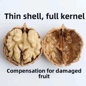 Fresh Thin Shell Ancient Tree Walnut Kernels Edible for Kids and Pregnant Women