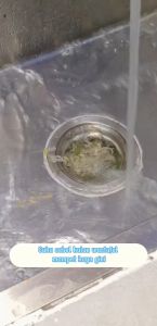 Saringan Wastafel Plastik & Bunga SH A14: Pemilihan & Pemakaian